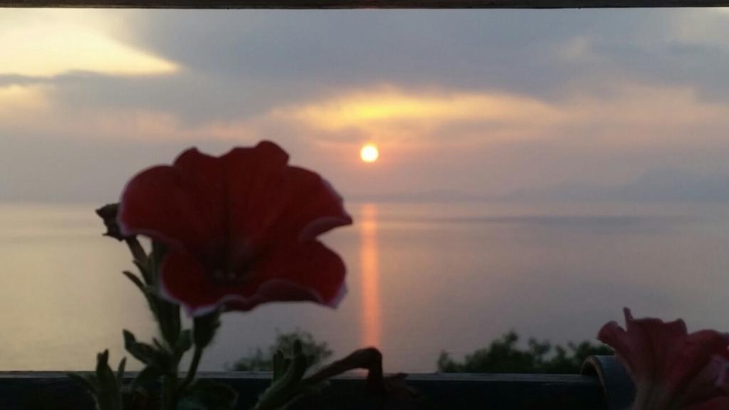 B&B "L'Eco Del Mare" Agropoli Zewnętrze zdjęcie